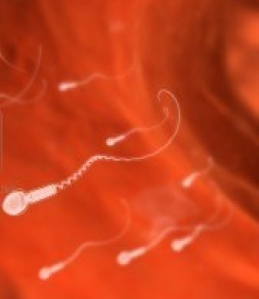 3226177-sperma-umano